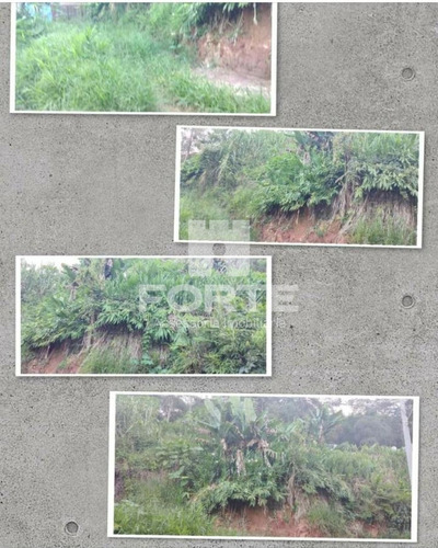 Imagem 1 de 1 de Terreno Zona Rural No Bairro Vila Moraes Em Mogi Das Cruzes. Imobiliárias De Mogi Das Cruzes. - Te00026 - 69742994