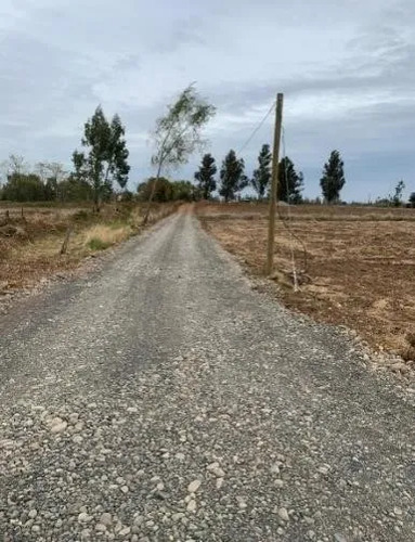 Agrícola En Venta En Bulnes - 44 Hectáreas A 27 Km Chillán