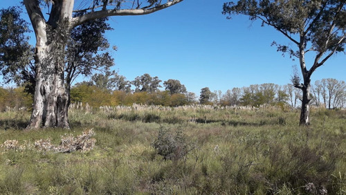 Imagen 8 de 13 de Excelente Lote 500 Mts Venta Mariano Acosta Merlo