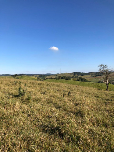 Imagem 11 de 14 de G20- Lotes Com Nascente 5.000m2 Este Fim De Semana 99mil !!