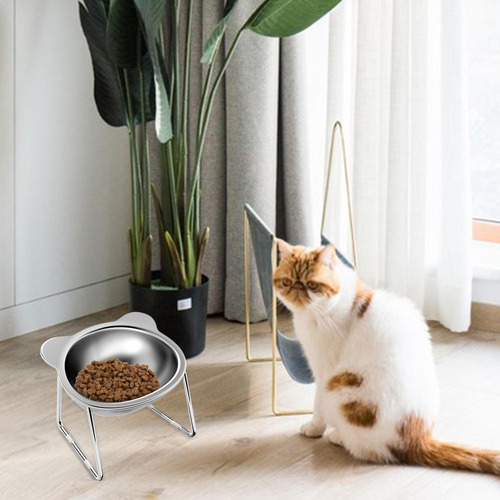 L Tigela Levantada Anti-vômito Para Gatos Tigelas Elevadas