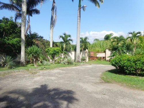 Imagen 6 de 14 de Gerybet V Terreno En Venta Mañongo Naguanagua 2210127