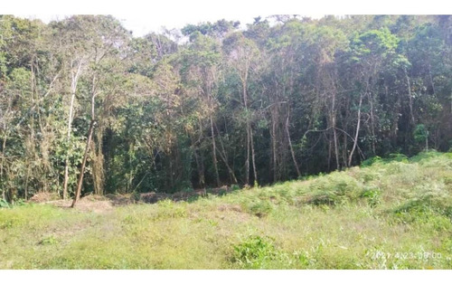 Imagen 12 de 13 de Venta De Lote De Terreno De Cuatro Hectáreas San Diego Carrizal