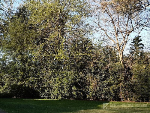 Imagen 12 de 22 de Mosquera Y Gallastegui Venta Financiada Casa-quinta En Benavidez 4100 Metros De Terreno