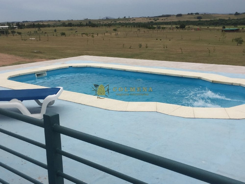Chacra 5 Has En Muy Cerca De Punta Ballena A Pocos Km De La Ruta 9 Y De La Ruta 12 Cuenta Con Muy Buena Casa. Consulte!!!!!!!- Ref: 467