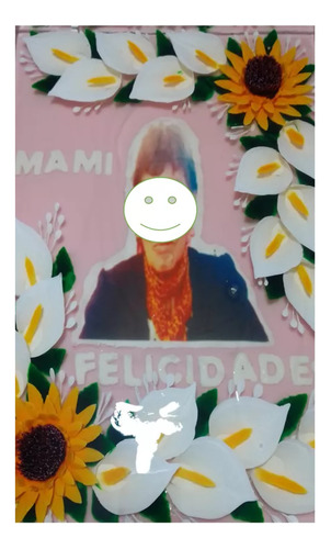 1 Diseños Para Transfer