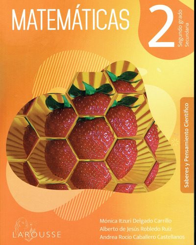 Matemáticas 2 Larousse Nem Ser. Constructores Secundaria