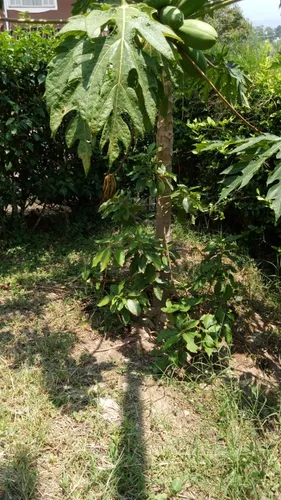 Vendo Hermoso Lote En Conjunto Cerrado En Silvania, Cundinamarca