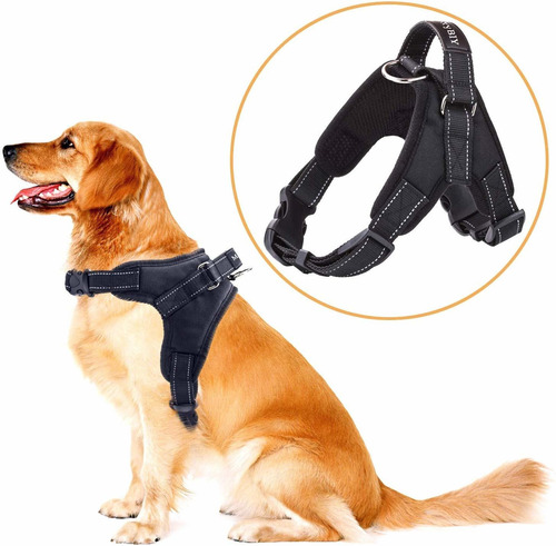 Imagen 1 de 6 de Pechera Arnés De Tela, Regulable, Con Correa Para Perro/gato