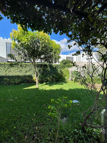 Casa Amueblada En Renta En Soluna, Temozón Norte