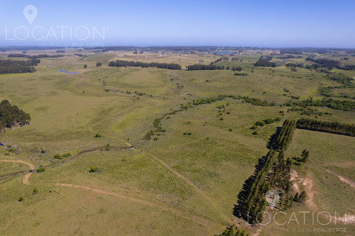 Venta Campo Con Casa 164 Hectáreas, 8 Dormitorios, Ruta 104