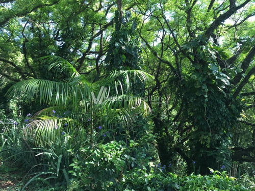 Imagem 17 de 18 de Chácara À Venda Em Morro Das Pedras - Ch290006