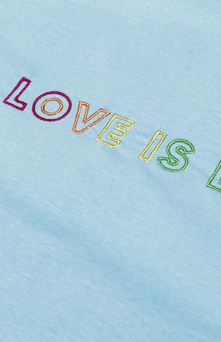 Remera Love Is Love