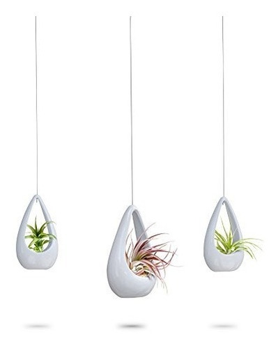 3 Pack Hanging Planter | Macetas De Ceramica Blanca Suculent