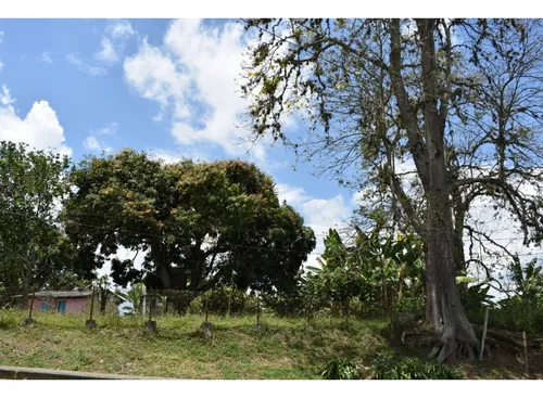 Se Vende Lote En Quimbaya Quindío