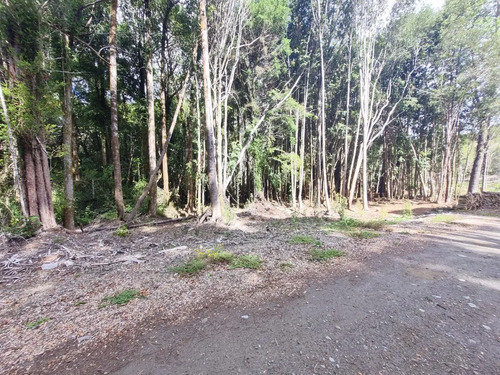 Vendo Parcelas Sector Altos De Polincay Puerto Montt