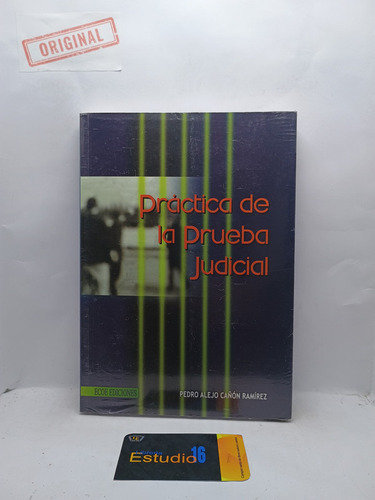 Practica De La Prueba Judicial