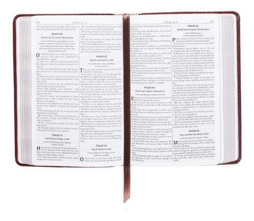 Imagen 9 de 9 de Biblia En Inglés King James Version Tamaño Compacto Café