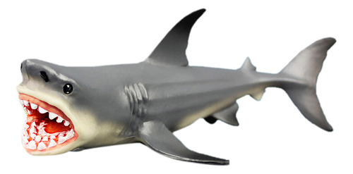 Megalodon Prehistórico Tiburón Océano Educación Animal Figur