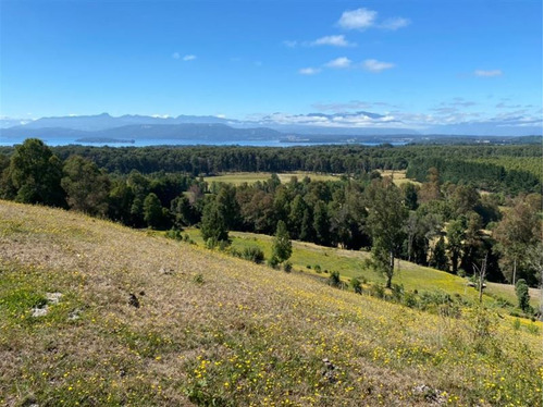 Agrícola En Venta En Panguipulli