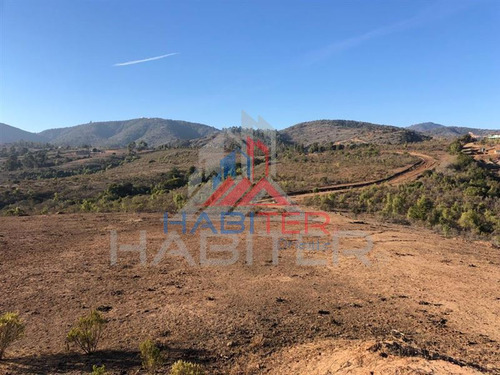 Sitio En Venta En Puchuncaví
