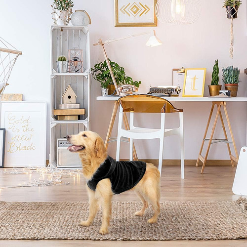 Sudadera Con Capucha Para Perro Expawlorer Con Bolsillo, ...