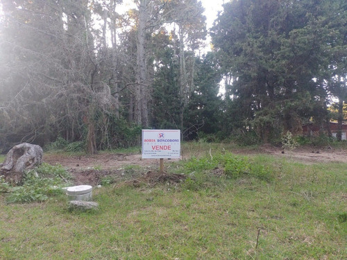 Imagen 4 de 4 de Lote C/ Forestación, Muy Bien Ubicado, En Mar Azul, Apto Para 2 Unidades