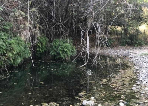 Imagen 6 de 14 de Rancho En Amacuzac, Huantitlan, Morelos.