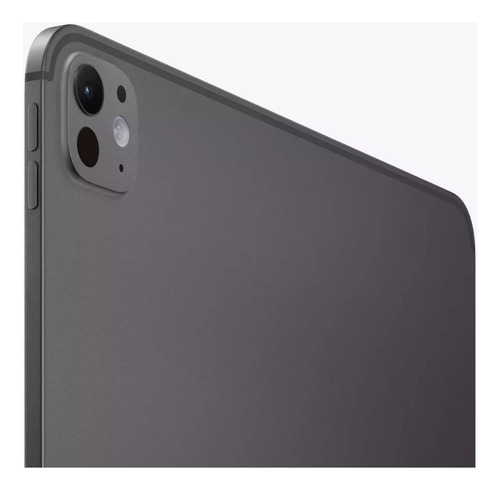 iPad Pro 13 Chip M4 (2024) 8gb Ram Wifi + Celular 256gb