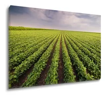 Comprar Quadro Decorativo Grande Tela Canvas Agropecuária 130x90cm Cor Soja 02 Cor da armação Tecido Sobre Tela