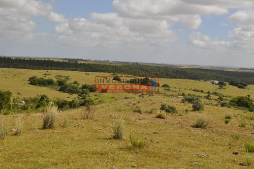 Imagen 10 de 30 de Venta Campo Ubicado En Garzón