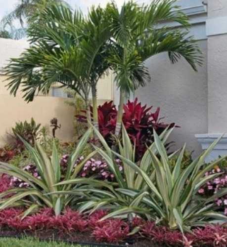 Imagen 4 de 10 de Servicio De Jardinería
