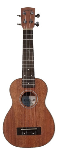 Ukelele Ashland De Caoba Uk225s