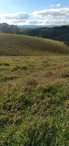 Imagem 7 de 13 de 16- Construa Sua Chácara De 10000m Em Igaratá
