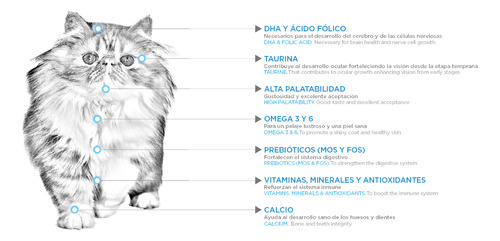 Nupec Felino Kitten 1.5kg | Desarrollo Óptimo