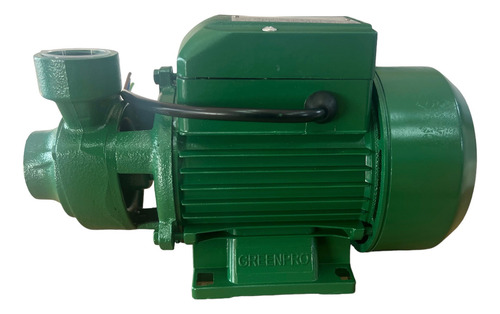 Bomba De Agua De 1/2 Hp Greenpro