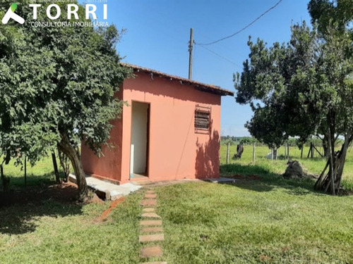 Imagem 16 de 20 de Sítio À Venda Em Cesário Lange/sp - St00084 - 68447401