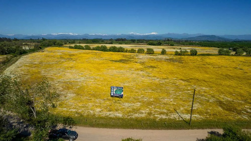 Exito En Venta Parcelas 5000 M2 San Rafael (74723)