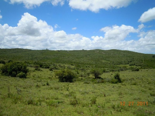 Campo En Venta En Garzón Rural