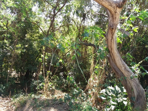Imagem 4 de 6 de Chácara Residêncial A Venda Em Vinhedo/sp. - Ch00019 - 67743333