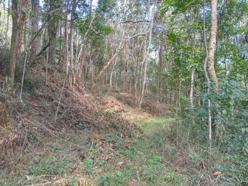 Imagem 9 de 30 de Excelente Terreno Á Venda De 16.500m2 Em Condomínio Rural Clube Juca Vieira C/ Área De 16.500 M², C/ Córrego De Água Cristalina Nos Fundos! - Oci0101 - 69485109
