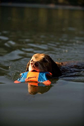 Imagen 6 de 8 de ?chuckit! Flying Ardilla Juguete Para Perros
