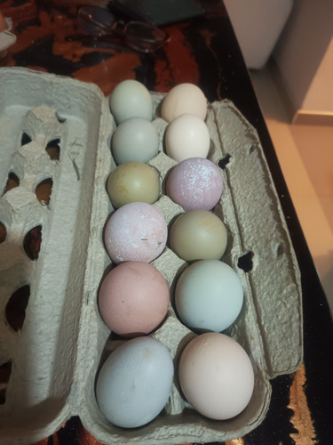 Huevos Organicos Criollos Para Consumo