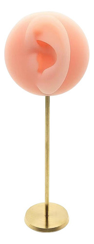 Modelo De Oreja, Soporte De Rosa Izquierda Rosa Izquierda