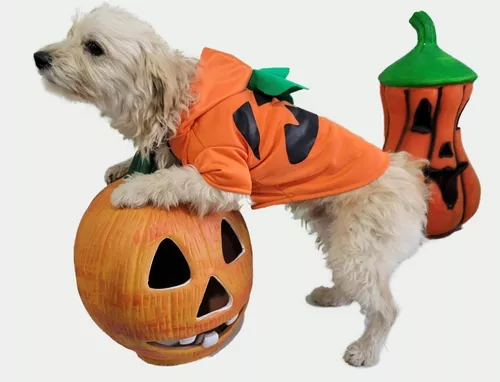 mal humor Fuera periodista Disfraz De Calabaza Tipo Sudadera De Halloween Para Perro