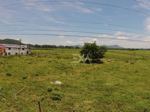 Imagem 24 de 25 de Terreno A Venda Na Br 101, Cidade De Penha (sc) - Exa Imóveis. - 0915