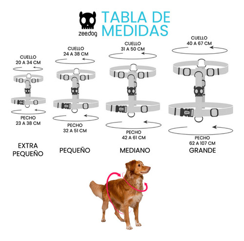Zeedog Arnés H Smash Para Perros Pequeño - Bigos