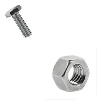 Comprar Jogo De Parafusos Pu002F Estante Aço 1u002F4 X 1u002F2 Cu002F Porca 100 Unid
