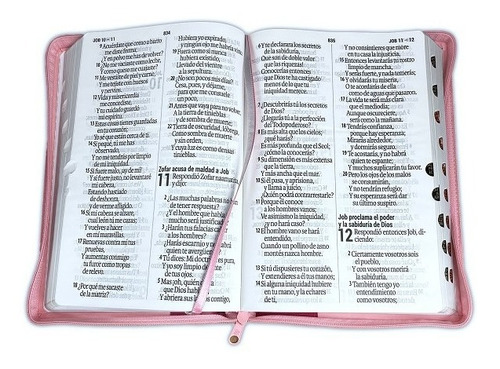Imagen 3 de 4 de Biblia Reina Valera 1960 Super Gigante 19 Puntos Pjr Rosa