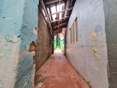Imagem 6 de 9 de Terreno Com 5 Casas No Quintal Para Venda No Bairro Vila Ipojuca Com 258 M - 1998